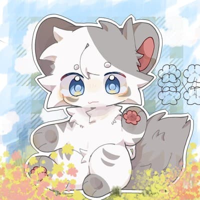 橘猫的头像