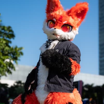 FOX•SPRING的头像