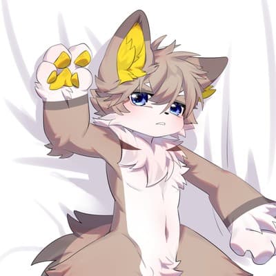 棠枫狼云的头像
