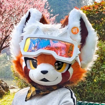 断眉小熊猫的头像
