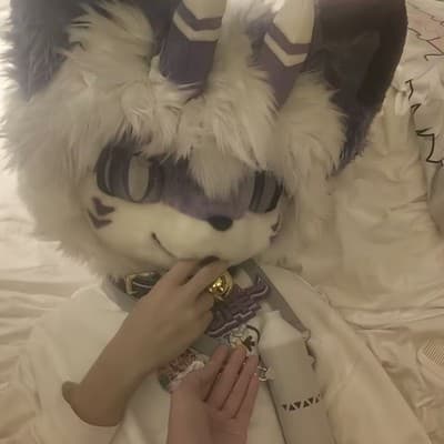 龙泽的头像