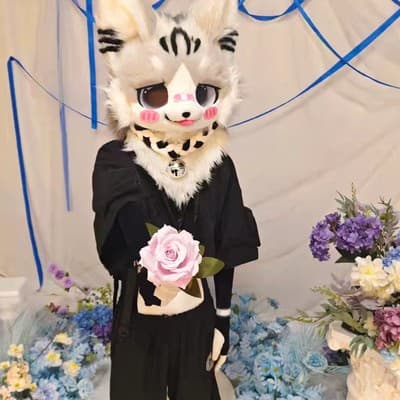 风屿的头像