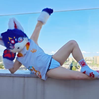 咸鱼慕飞的头像