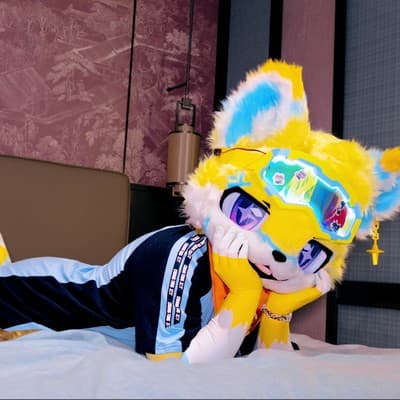 HoshiroFox⭐的头像