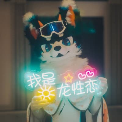 一只凝灰岩的头像
