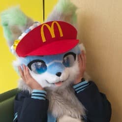 弃随的头像