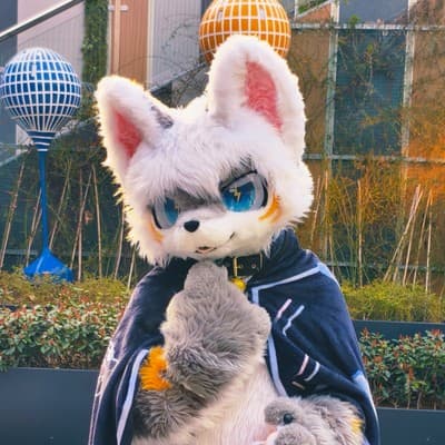 猫猫阿拗的头像