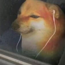 不要跑步的头像