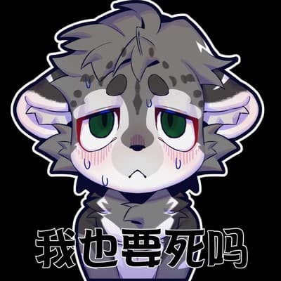 奇奇的头像