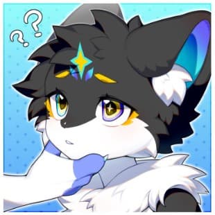 沉星的头像
