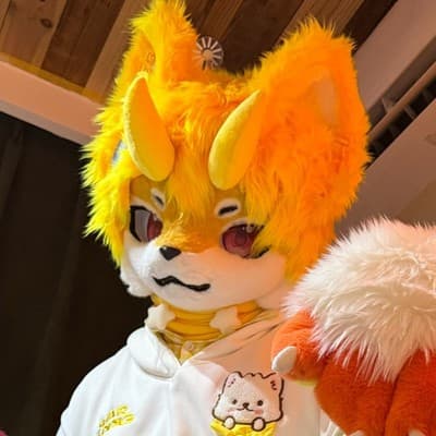 元宝的头像