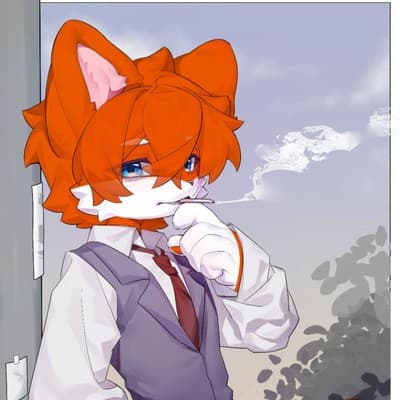 陈皮的头像