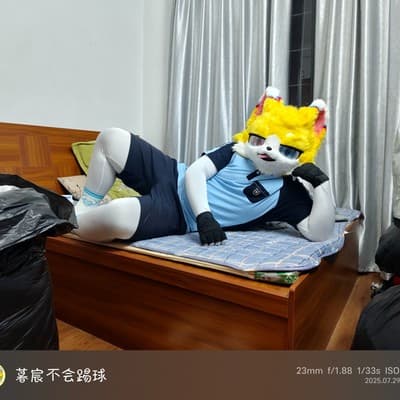 暮宸的头像