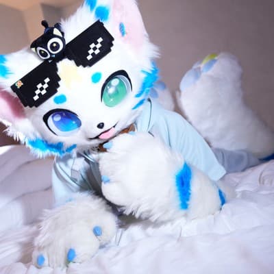 桦落星猫🌟的头像