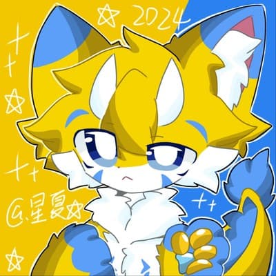 Starry Fever星夏的头像