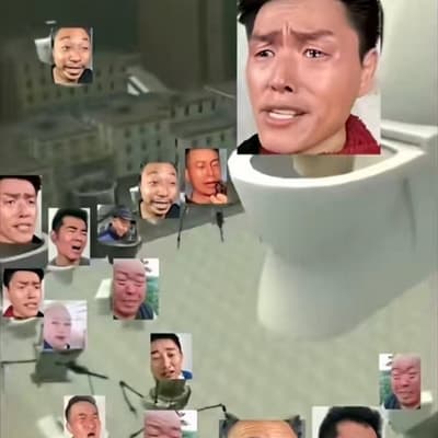 杨志平的头像